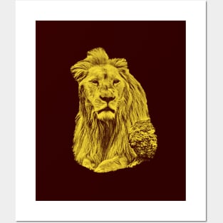 Lion portrait Posters and Art